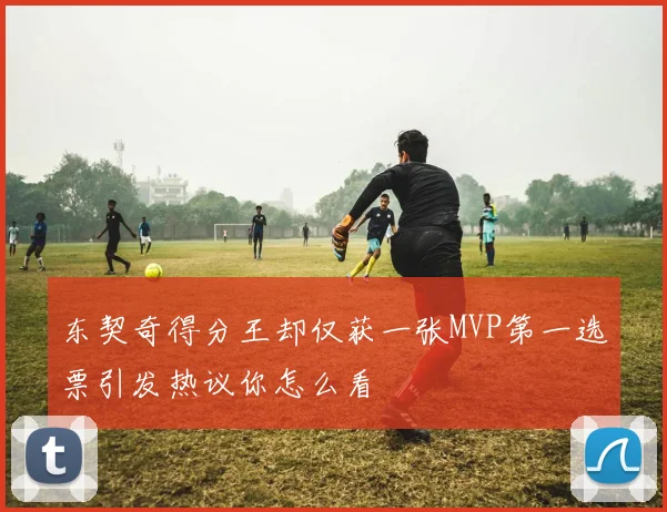 东契奇得分王却仅获一张MVP第一选票引发热议你怎么看