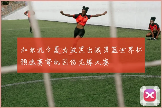 加尔扎今夏为波黑出战男篮世界杯预选赛弩机因伤无缘大赛